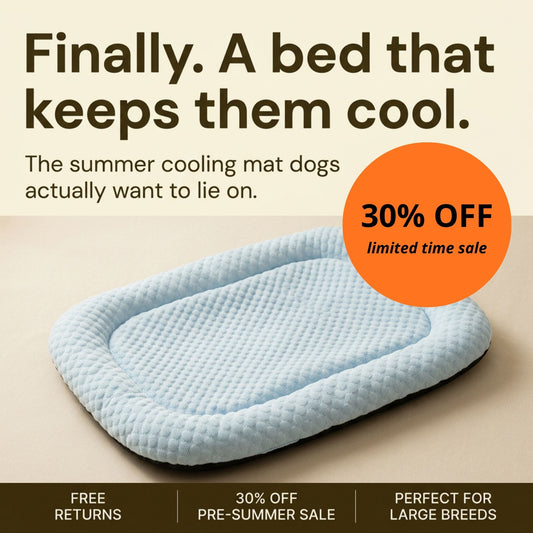 Cooling Mat For Dogs  -  Two Dogos Cooling Mat 🧊