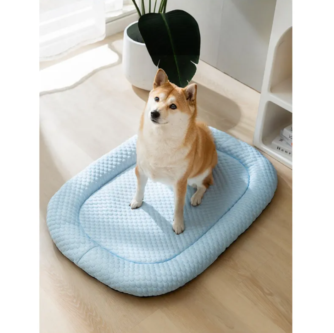 Cooling Mat For Dogs  -  Two Dogos Cooling Mat 🧊